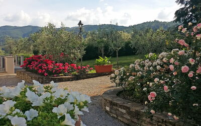 Villa Gaville: Extérieur
