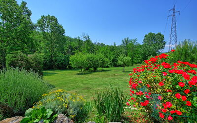 Casa Ovile: Giardino, Vista Panoramica