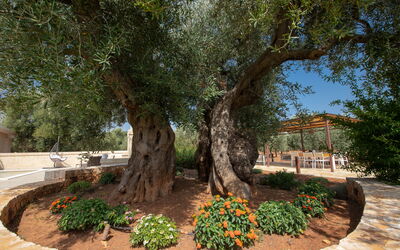 Terra Mater: all'aperto, Esterni