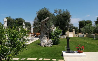 Terra Mater: all'aperto, Esterni, Giardino