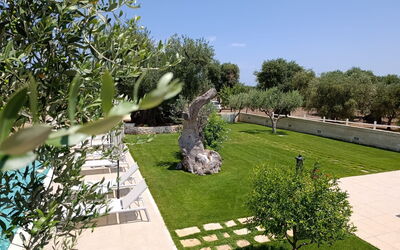 Terra Mater: all'aperto, Esterni, Giardino, Piscina