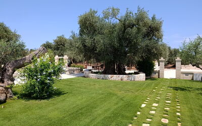 Terra Mater: all'aperto, Esterni, Giardino