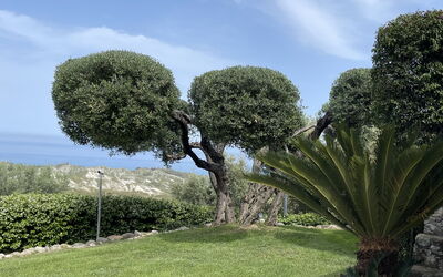 Villa Acquaro, Santa Caterina dello Ionio, Pool, a: Autumn, Garden, Spring, Summer, Winter