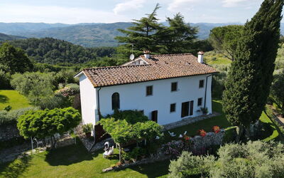 Villa Mami: Extérieur, Extérieurs, Jardin, Vues