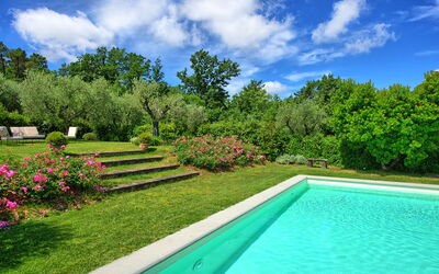Villa Mami: bassin, Été, Extérieur, Jardin