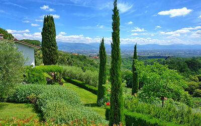 Villa Mami: Extérieur, Jardin, Vues