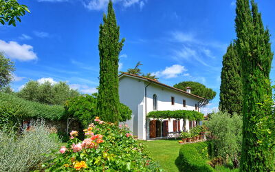 Villa Mami: Été, Extérieur, Extérieurs, Jardin