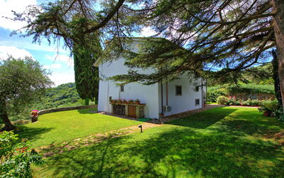Villa Mami: Extérieur, Extérieurs, Jardin