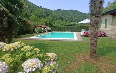 Villa Carducci: Outdoor, Pool