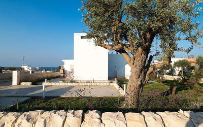 Villa Pachino: Building Exterior, Garden, Outdoor