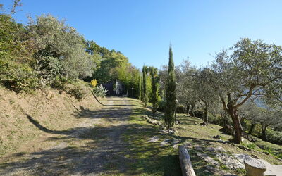 Villa di Confine: Garden