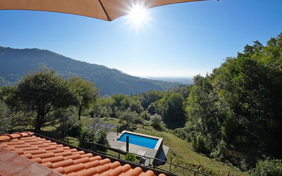 Villa di Confine: Garden, Outdoor, Pool