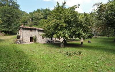 Villa del Mulino: all'aperto, Giardino