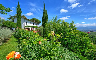 Villa Mami: all'aperto, Giardino