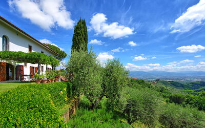 Villa Mami: all'aperto, Esterni, Giardino, Vista Panoramica