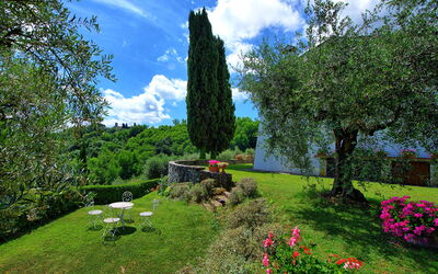 Villa Mami: all'aperto, Giardino