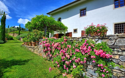 Villa Mami: all'aperto, Esterni, Giardino