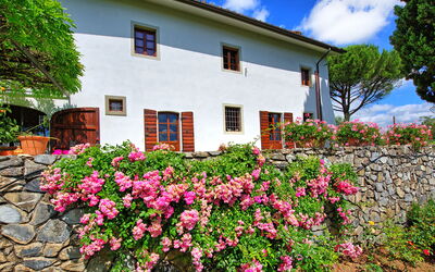 Villa Mami: all'aperto, Esterni, Giardino