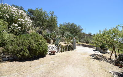 Villa Roccella Ionica, Sea View, a C: Autunno, Estate, Esterni, Giardino, Primavera