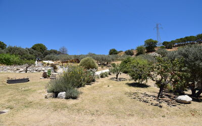 Villa Roccella Ionica, Sea View, a C: Autunno, Estate, Esterni, Giardino, Primavera