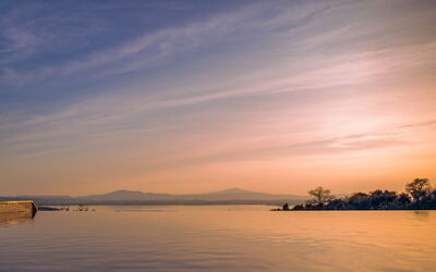 Villa Paradise: Swimming pool