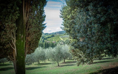 La Tesa Country House with Pool S. Gimignano: Autumn, Garden, Spring, Summer