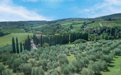 La Tesa Country House with Pool S. Gimignano: Autumn, Scenic View, Spring, Summer