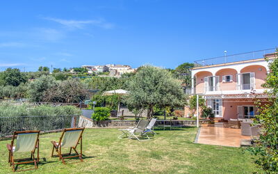 Villa: Automne, Été, Hiver, Jardin, Printemps