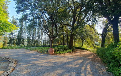 Luxury Villa Basilio, Chianti: Automne, Été, Jardin, Printemps