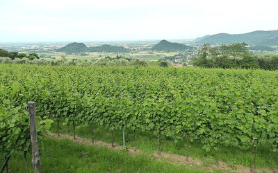 Casa delle Eriche, Colli Euganei, Pool, Wifi: Activities, Autumn, Spring, Summer