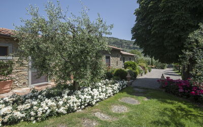 Villa Il Sasso: Garden