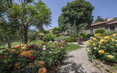 Villa Il Sasso: Garden
