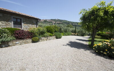 Villa Il Sasso: Garden and outdoor view