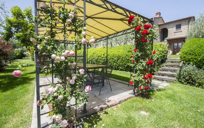 Villa Il Sasso: Garden and outdoor view