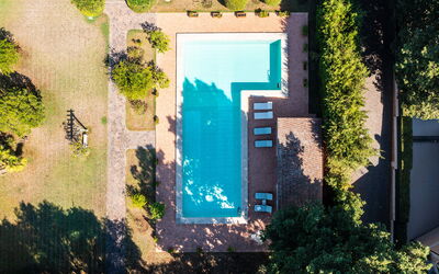 Villa la Gallese: Garden, Outdoor, Pool
