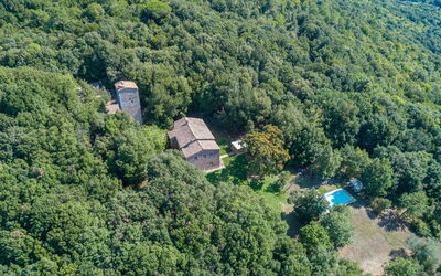 Villa Linchiano: all'aperto, Piscina