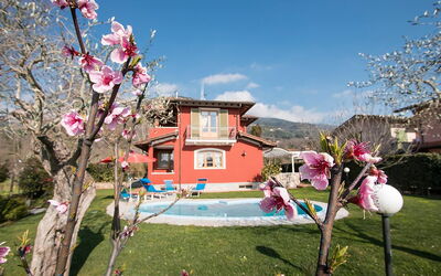 Villa Camaiore: Garden, Outdoor, Pool