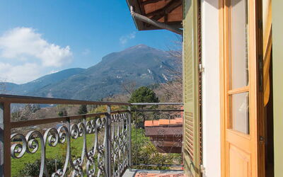 Villa Camaiore: Garden, Outdoor