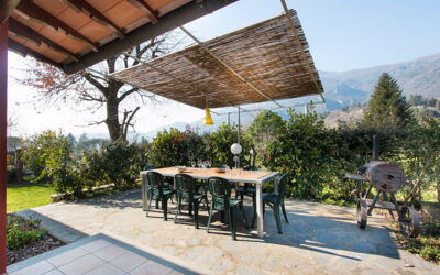 Villa Camaiore: Garden, Outdoor