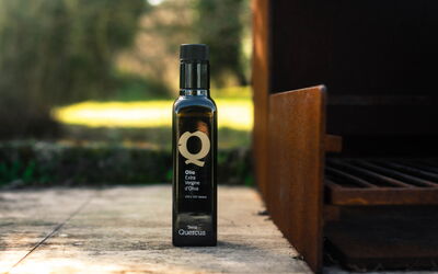 Terra Quercus: Activités