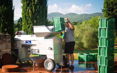 Terra Quercus: Activités