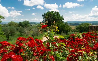 Terra Quercus: Jardin