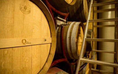 Terra Quercus: Activités