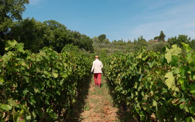 Terra Quercus: Activités