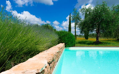 Terra Quercus: bassin