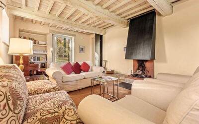 Terra Quercus: Salon