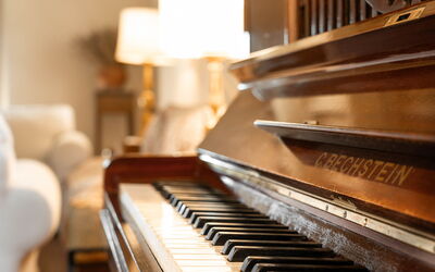 Terra Quercus: Salon