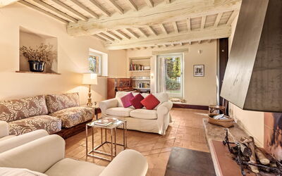 Terra Quercus: Salon