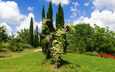 Terra Quercus: Jardin
