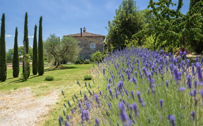 Terra Quercus: Extérieurs